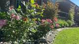 459 Sandford Street - Photo 50