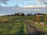 1900 Concession 4 Road - Photo 3