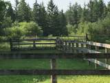 1181 Ravenshoe Road - Photo 11