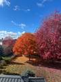 5092 Boyne Street - Photo 7