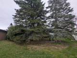 66 Linden Lane - Photo 4