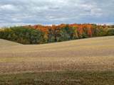 7815 15th Side Road - Photo 5