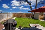 117 Winchester Terrace - Photo 4
