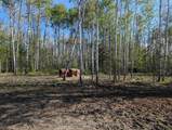 227005 Brentha Road - Photo 7