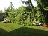 6451 Alderwood Trail - Photo 45