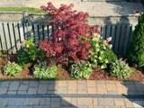 3798 Swiftdale Drive - Photo 45