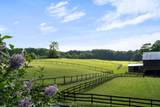 16718 Caledon/King Townline - Photo 28