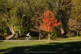 1381 Lakeshore Road - Photo 12