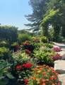 15481 Mount Wolfe Road - Photo 49