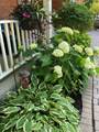 1580 Woodeden Drive - Photo 41