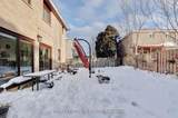 5 Clydesdale Circle - Photo 46