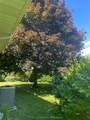 4 Winesap Place - Photo 31