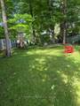 89 Holyrood Avenue - Photo 36