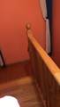 24 Mattari Court - Photo 12