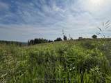 Lot 24 Mccarty Drive - Photo 7