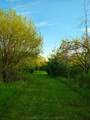 1775 Highway 38 Highway - Photo 7