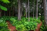 158 Stokes Bay Road - Photo 48