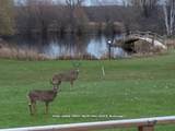 476345 3rd Line - Photo 12