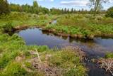 381103 Concession Road 4 Ndr N/A - Photo 47
