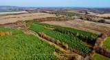137662 Grey Road 12 N/A - Photo 4