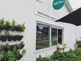 153 Wellington Main Street - Photo 2