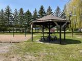 2152 County Rd 36 Road - Photo 19
