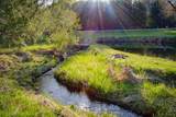 617159 Grey Road 29 N/A - Photo 38