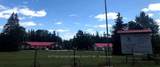 98 North Shore Road - Photo 9