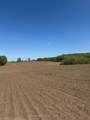 555463 Mono-Amaranth Townline - Photo 11