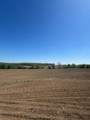 555463 Mono-Amaranth Townline - Photo 12