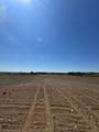 555463 Mono-Amaranth Townline - Photo 3