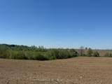 555463 Mono-Amaranth Townline - Photo 7