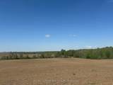 555463 Mono-Amaranth Townline - Photo 8
