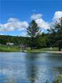 248 Pinnacle Hill Road - Photo 2