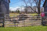 315421 Highway 6 Highway - Photo 8