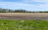 24 Berford Street - Photo 17