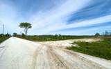 24 Berford Street - Photo 19