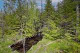 423080 Rocky Saugeen Road - Photo 46