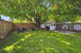 15 Jarvis Street - Photo 17