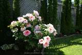 4597 Deborah Lane - Photo 5