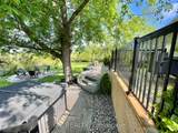 556 Fifth Line Rd Dum Road - Photo 14