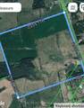 556 Fifth Line Rd Dum Road - Photo 5