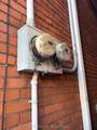 66 Stirton Street - Photo 8