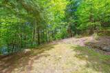 1023 Maiden Trail - Photo 5