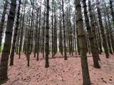 4563 County Road 9 N/A - Photo 49