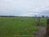 501098 Hwy # 89 N/A - Photo 9