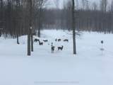 18668 Concession 2 Road - Photo 49