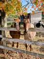 3750 Bass Road - Photo 48