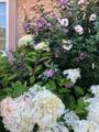 7 Brookside Place - Photo 40