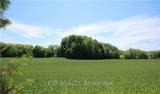1423 Ridge Road - Photo 41
